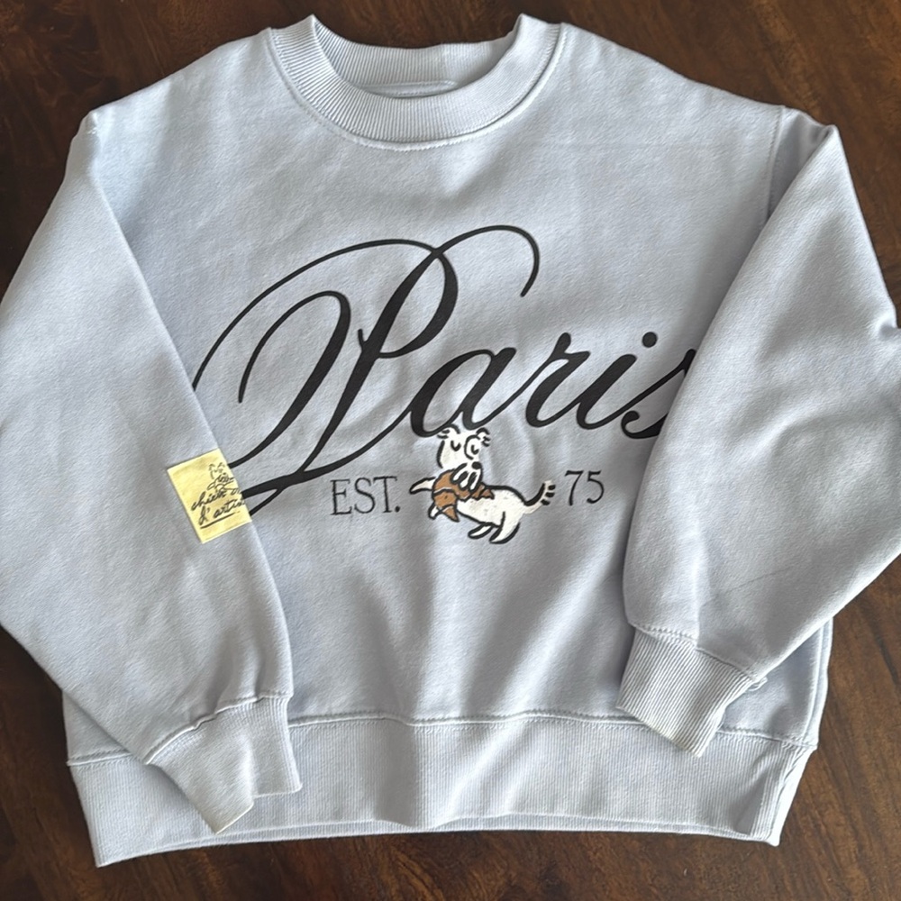 Zara kids sweatshirt